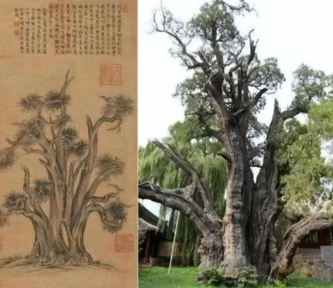 家做局骗走乾隆线万法院咋判的pg电子娱乐平台09年鉴宝专(图5)